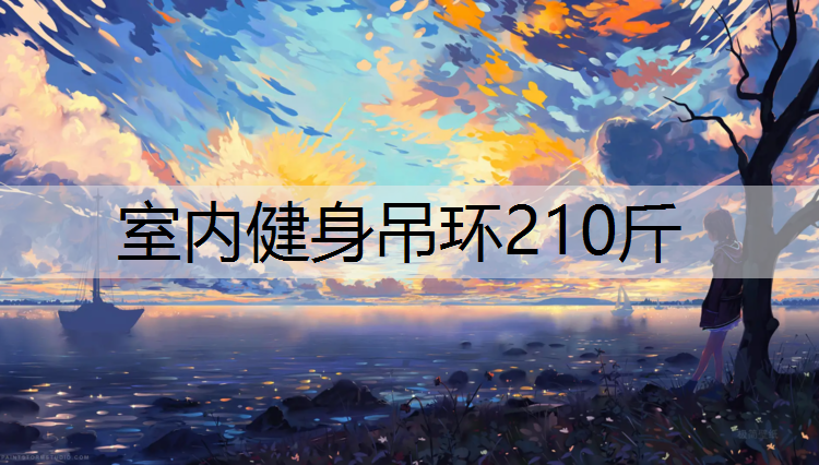 <strong>室内健身吊环210斤</strong>
