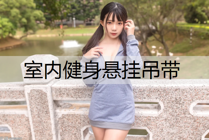 室内健身悬挂吊带