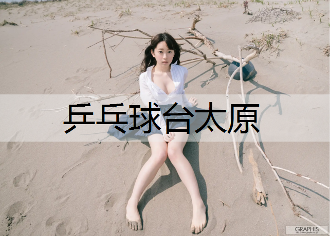 <strong>乒乓球台太原</strong>