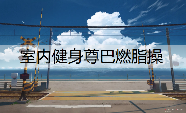 室内健身尊巴燃脂操