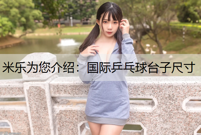 <strong>米乐为您介绍：国际乒乓球台子尺寸</strong>