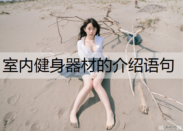 室内健身器材的介绍语句