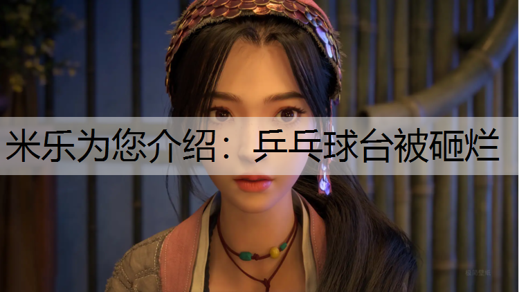 米乐为您介绍：乒乓球台被砸烂