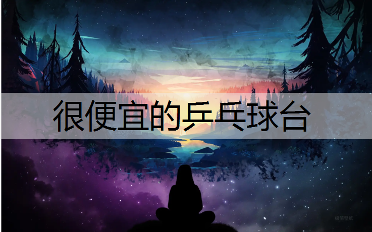 很便宜的乒乓球台