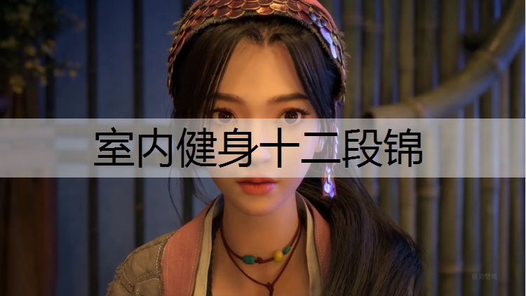 室内健身十二段锦