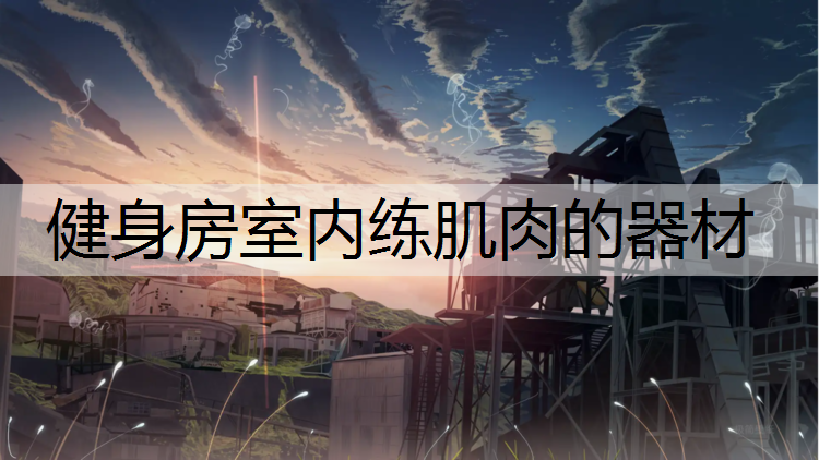 健身房室内练肌肉的器材