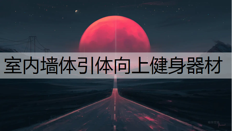 室内墙体引体向上健身器材