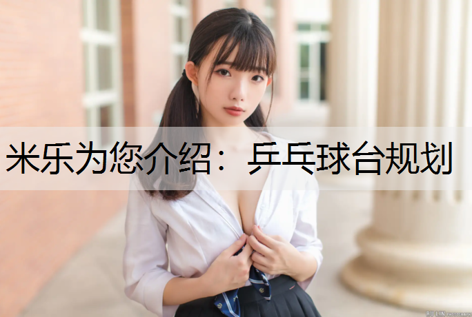 <strong>米乐为您介绍：乒乓球台规划</strong>