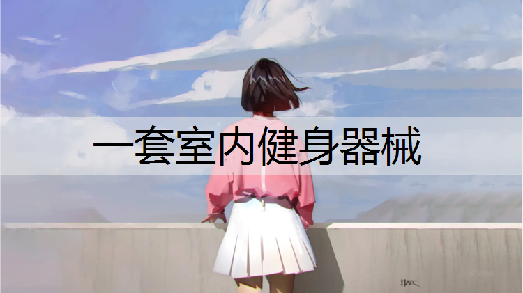 一套室内健身器械