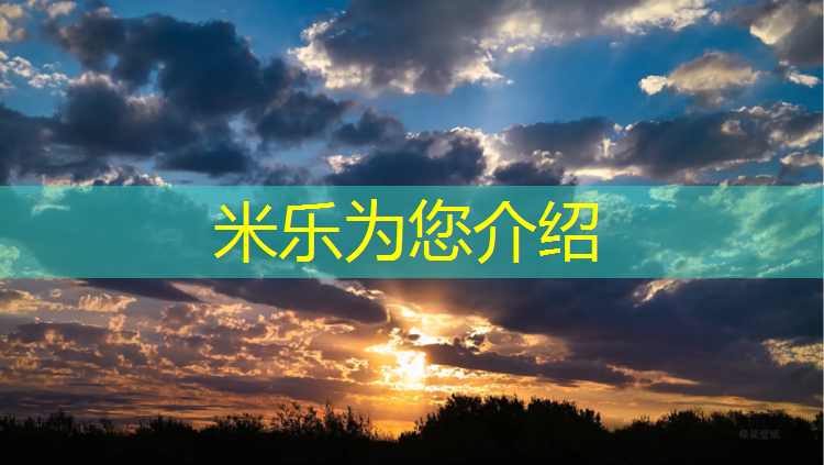 <strong>米乐：国悦城塑胶跑道</strong>