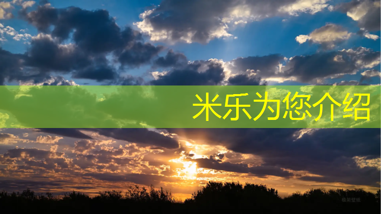 <strong>米乐m6官网登录入口为您介绍：白山室内塑胶跑道</strong>