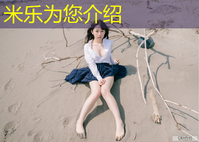 <strong>米乐为您介绍：体育场塑胶跑道全景</strong>