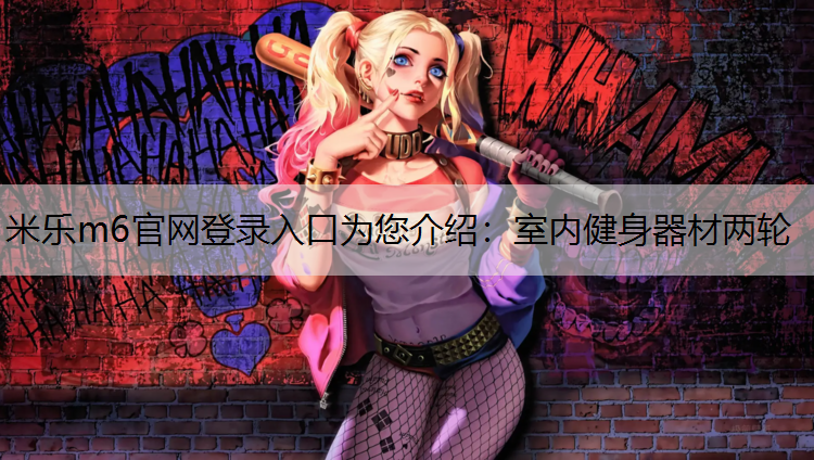室内健身器材两轮