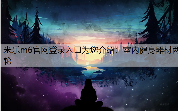 室内健身器材两轮
