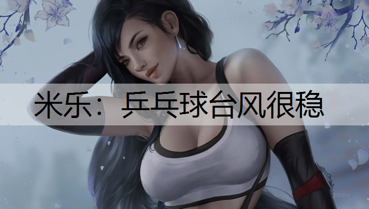 乒乓球台风很稳