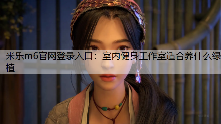 室内健身工作室适合养什么绿植