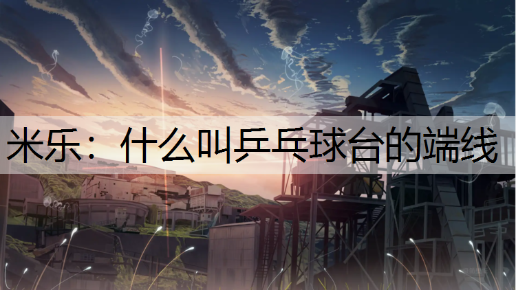 什么叫乒乓球台的端线