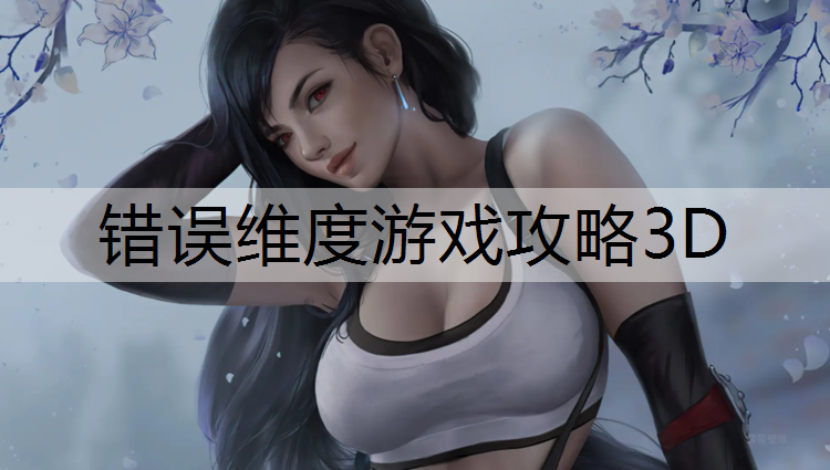 错误维度游戏攻略3D