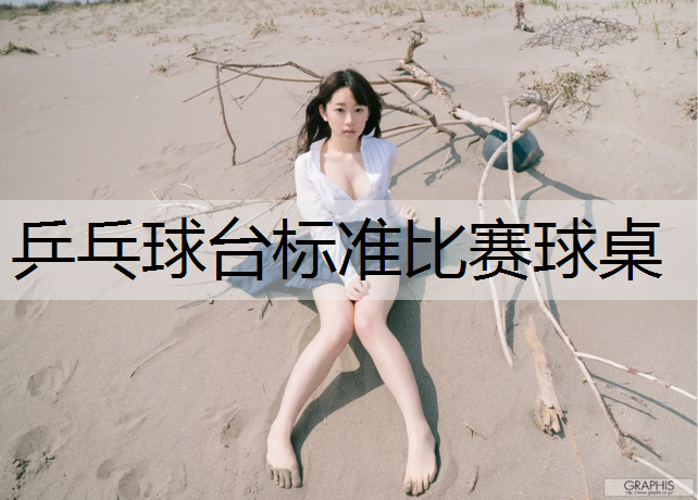 乒乓球台标准比赛球桌