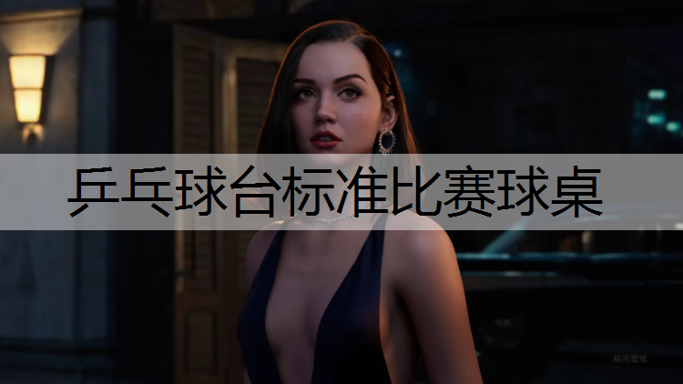 乒乓球台标准比赛球桌
