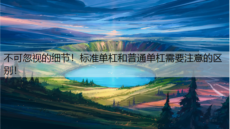 不可忽视的细节！标准单杠和普通单杠需要注意的区别！