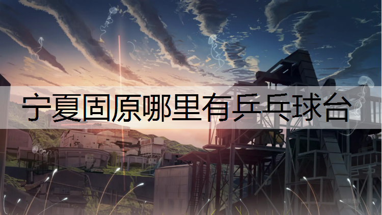 宁夏固原哪里有乒乓球台
